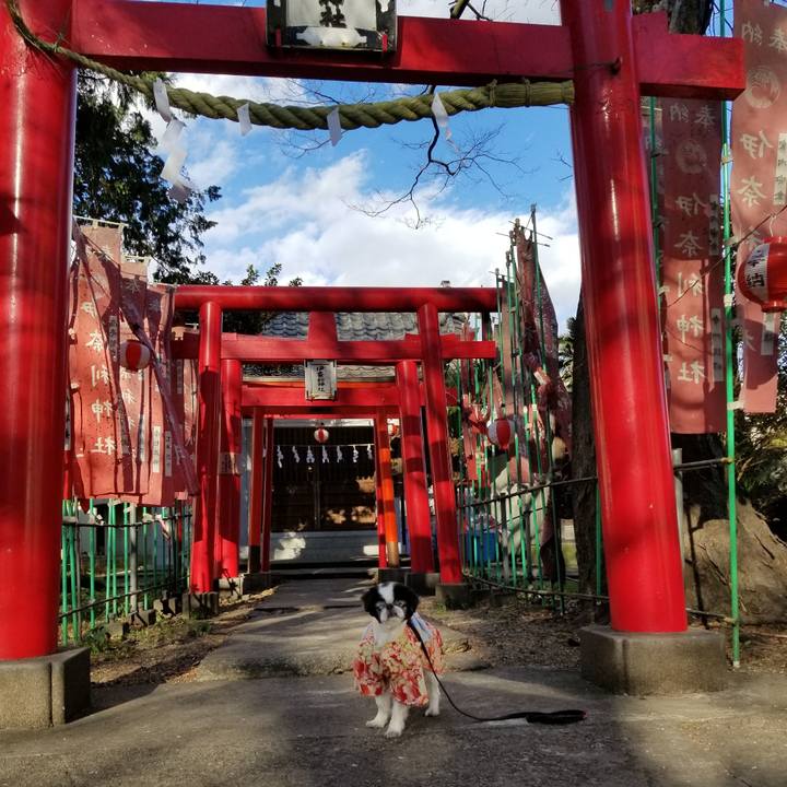 837e744f 2ef2 4c35 8745 e531c0f24e24 1609641823595