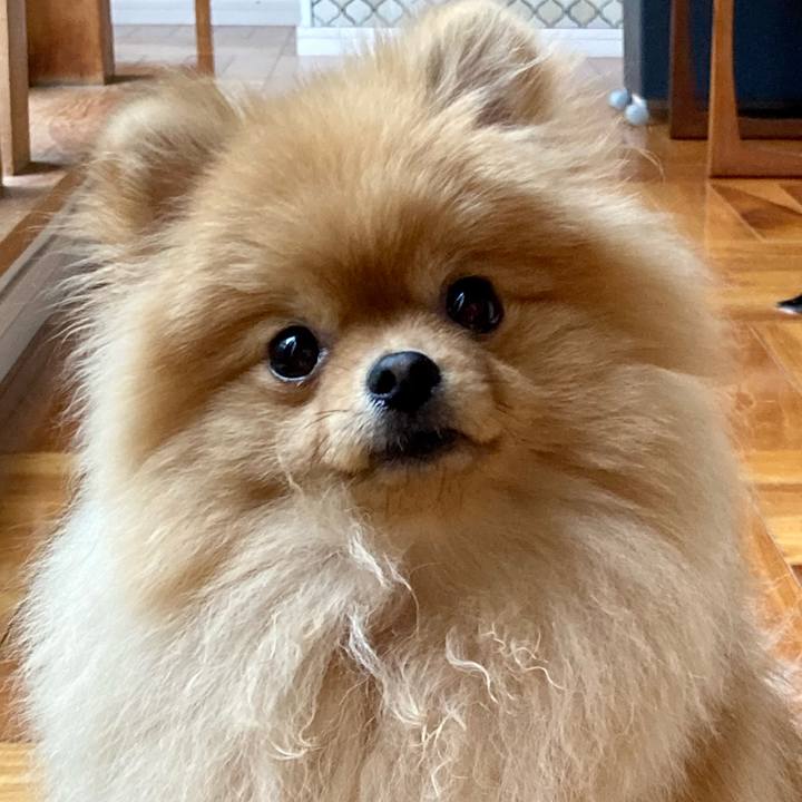 837e7c60 911c 497c 9686 f706548779a2 1680752192864