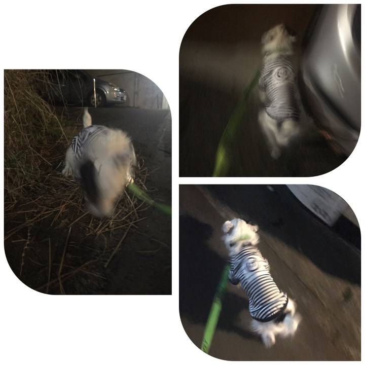 837eb5eb 0c4c 4d89 a714 4fdb053c42f3 1541077951986