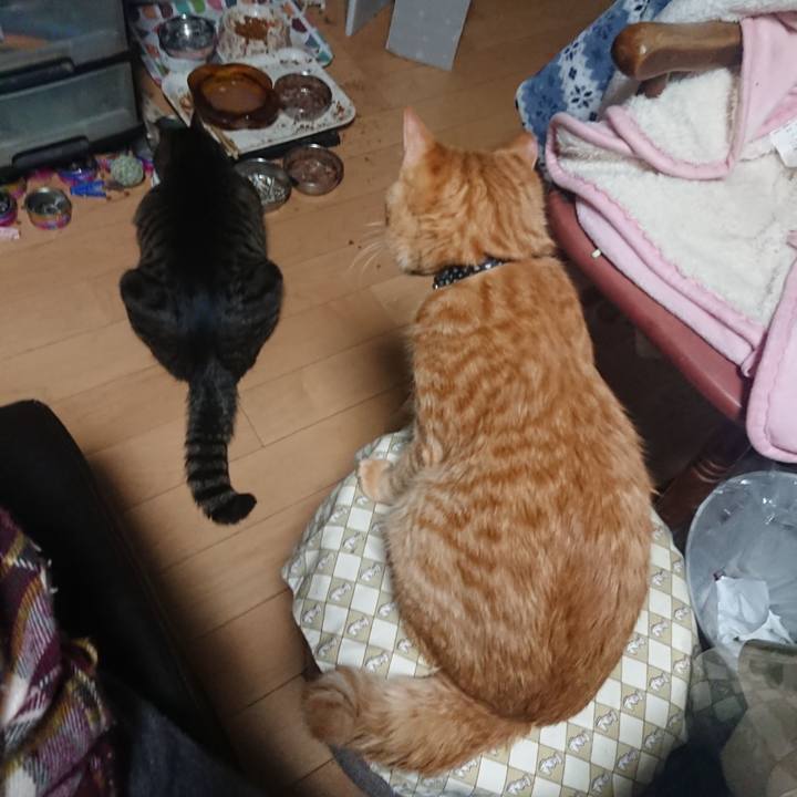 837ecdf3 de20 427a 9597 622a9697f561 1643405099202