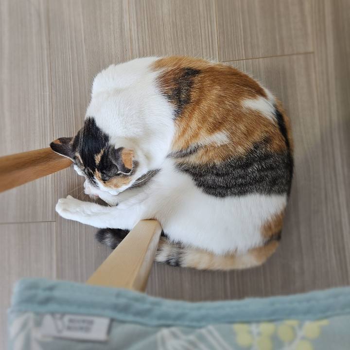 837f2757 1515 42a6 9b03 2f78c2ccf270 1763341050967