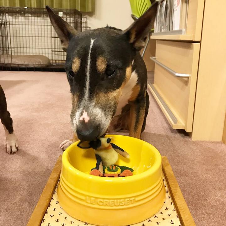 837fb239 b11c 40fa a445 a576ac1ea63a 1516797977122