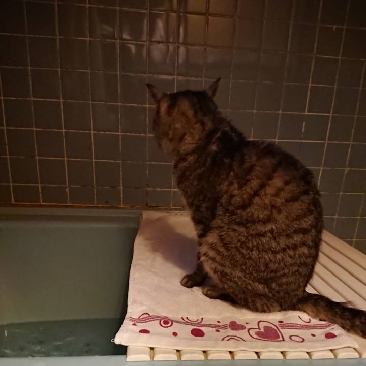 837feeb2 3ff4 43b9 a157 62e9316c795f 1591007116548