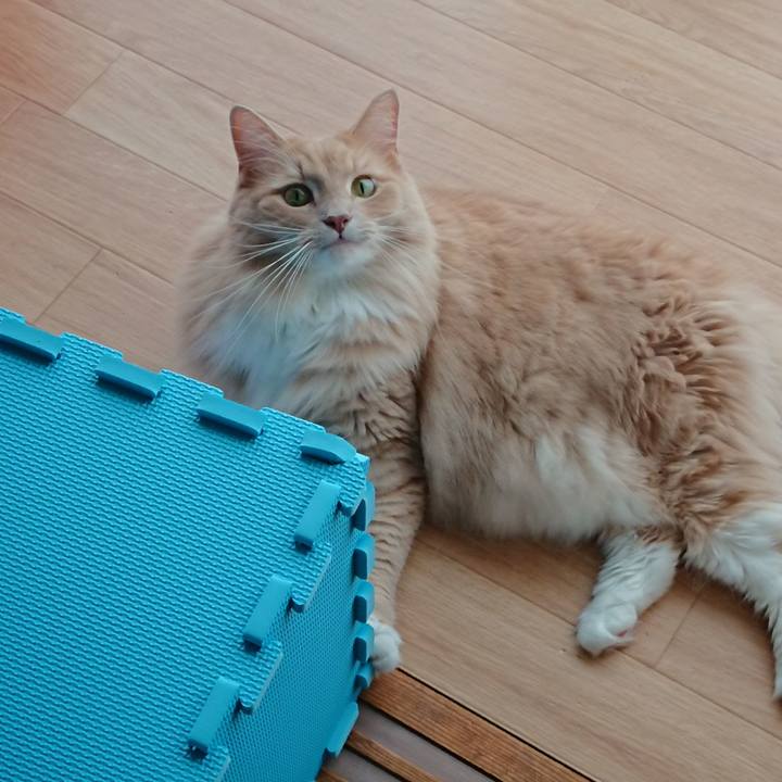 8380098e b439 47cd 8494 e1c919a640f4 1538293733297