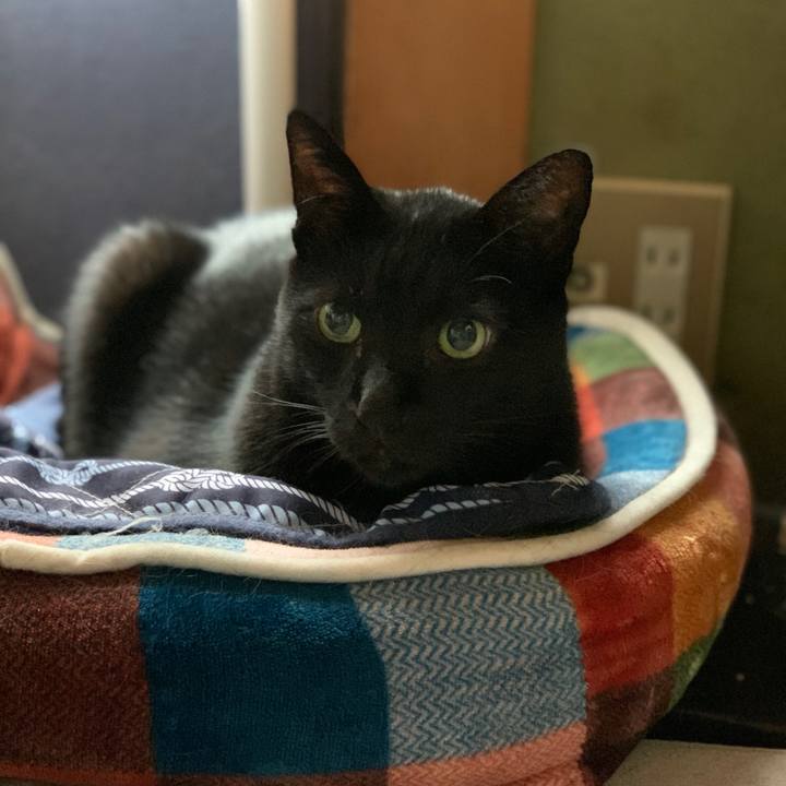 83801067 c167 4f82 b79d 298ac1d44698 1572138744585