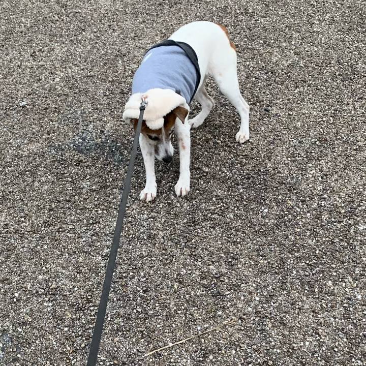 83801676 f9e8 49cb 8320 3e8de5a374cc 1578822993125