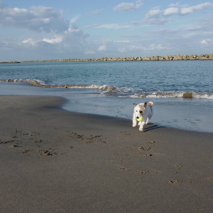 8380178e 89d7 43a2 8692 01ba4f246302 1539058525524