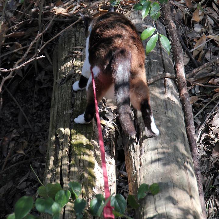 83801862 e8c7 4d0b 911b 657182ed80ae 1537540845266