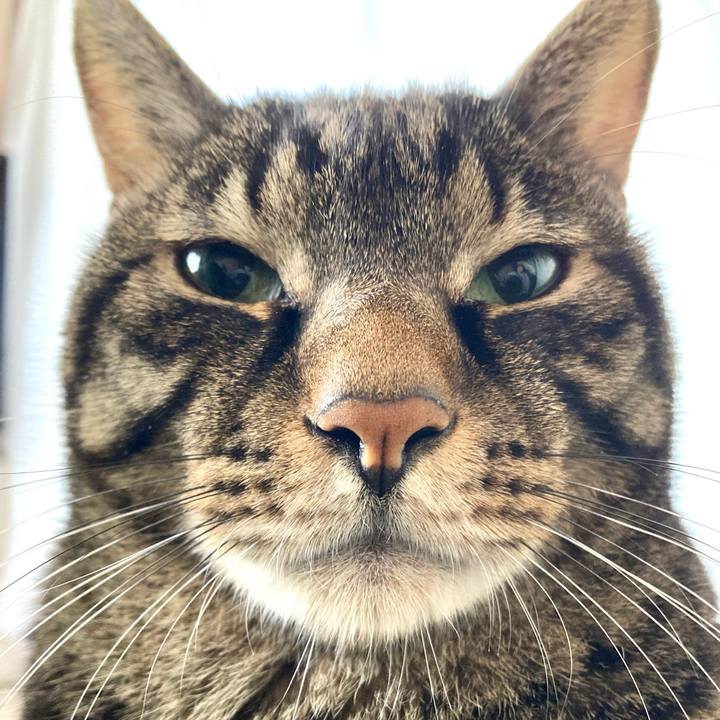 8380380d 5a18 4b40 8359 721673ab83c4 1666994089532