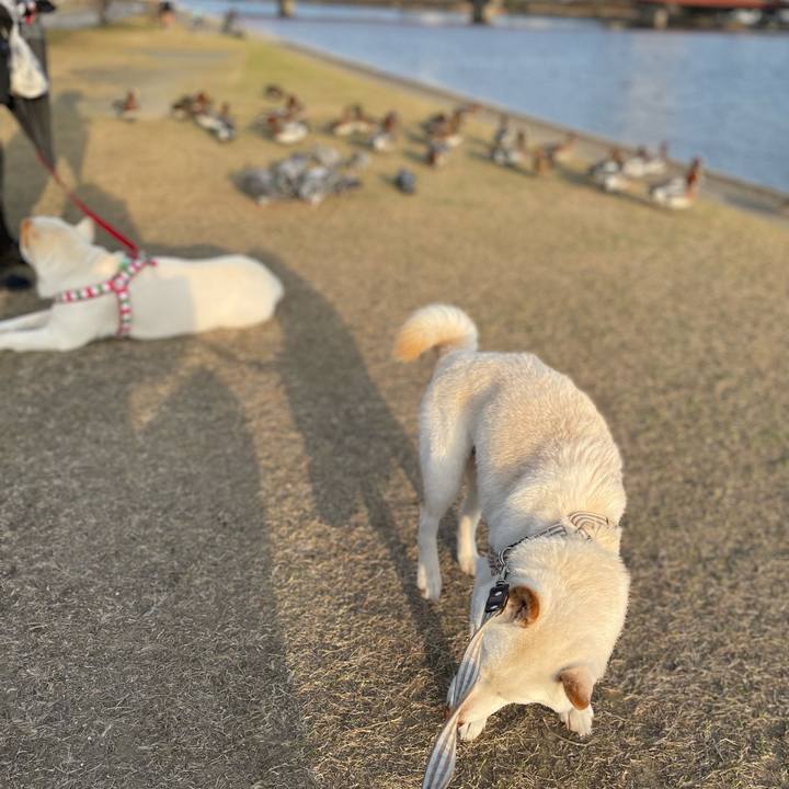 8380706a a793 4c63 bfaa 64e6c8800488 1647269030824