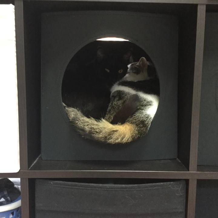 83808f94 a48e 470f b820 a72760e39ea9 1516021232491