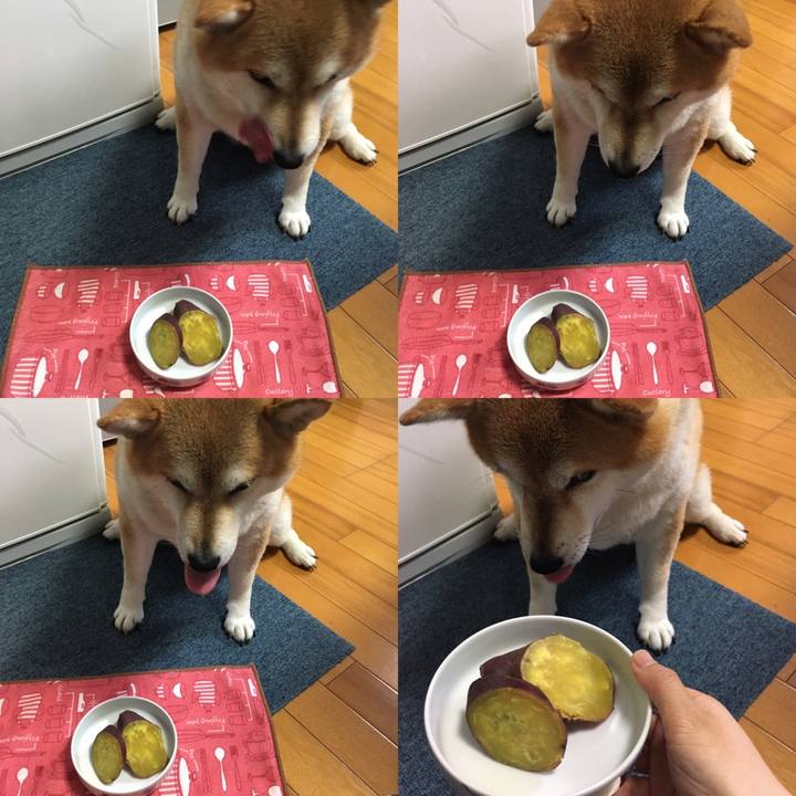 8380c822 3686 4d32 a784 8c2f32706903 1602740473026