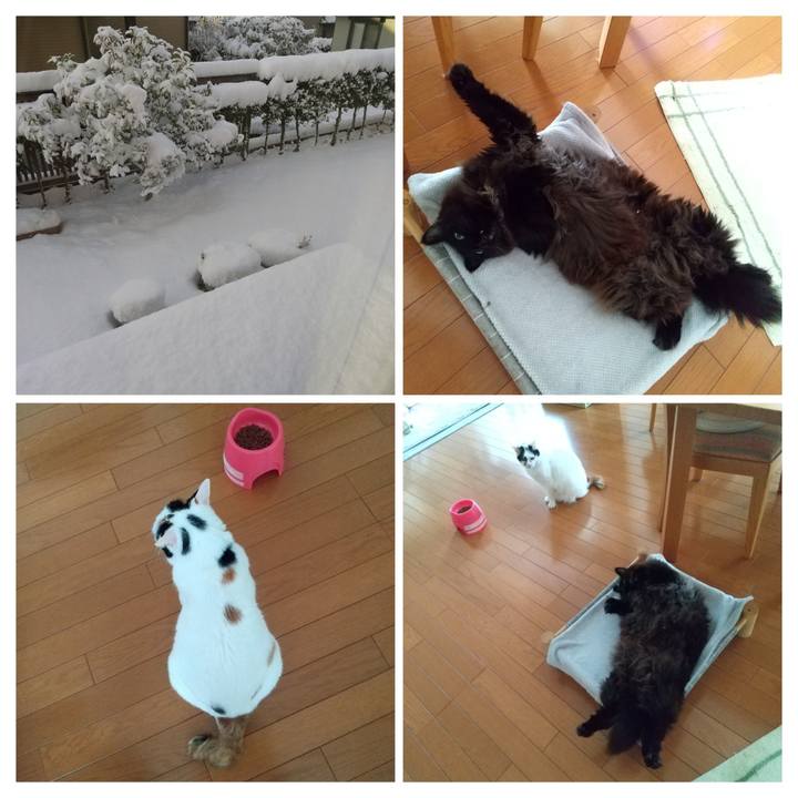 8380d4af 1f11 4a2c 8cc6 0cd77c11849e 1706136363562