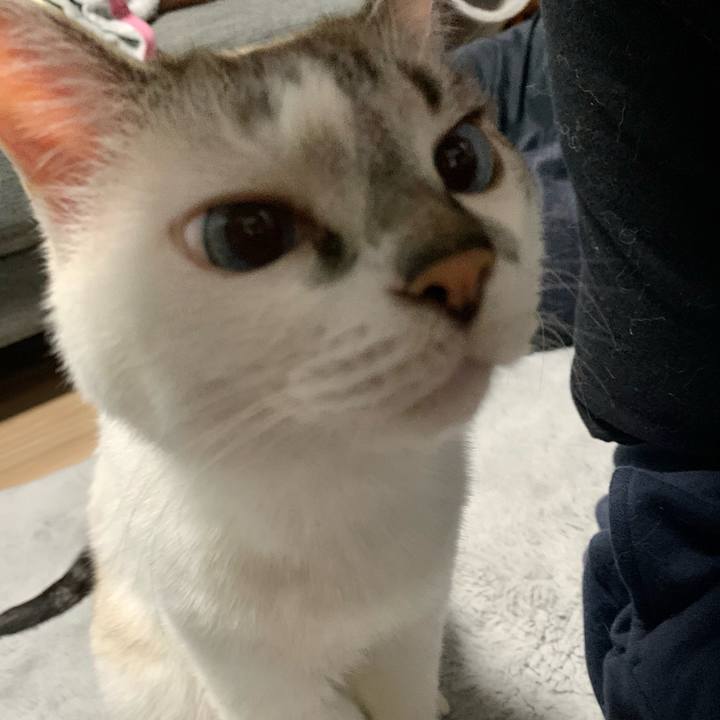 83810cd0 b301 4302 9bc1 18a385626c30 1667654627590