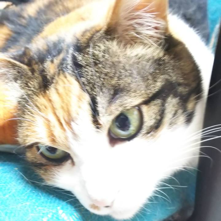 838122a5 8cf2 4dd1 8fe4 d433b0206eb5 1560037430885