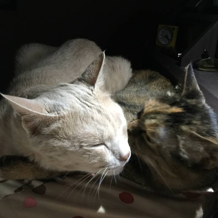 83812ed7 3222 4241 8436 2e08d44ea033 1533324735208