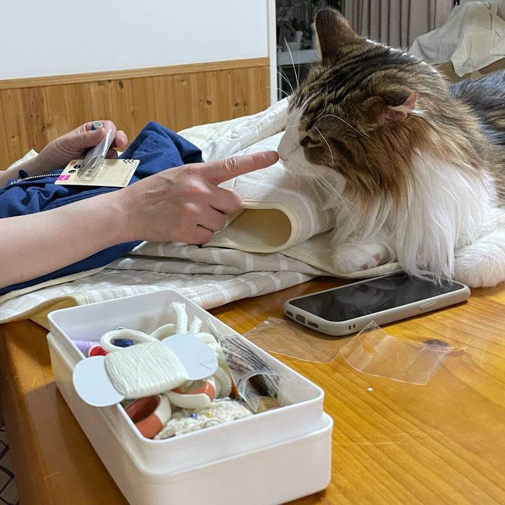 83816ff6 360e 4a8f 85d1 73bda1066de6 1678011836334