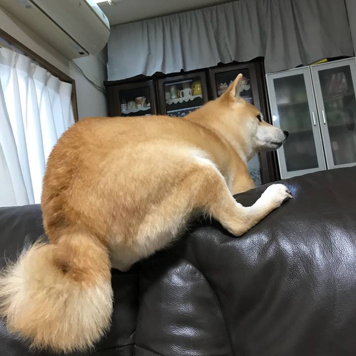 83819407 9327 4be7 9276 7052d034e0b5 1517872429178