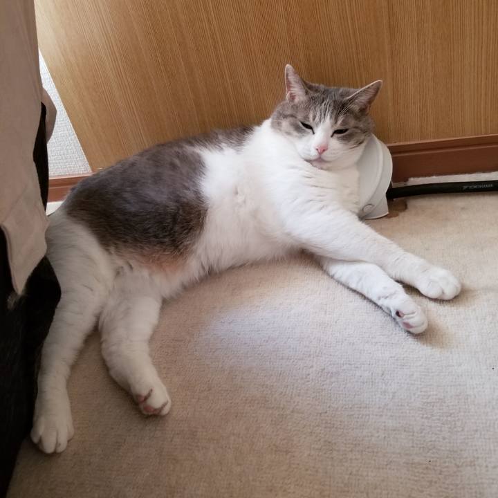 8381b02b 8ad6 4e84 871e 372c1e2230ff 1638352542934