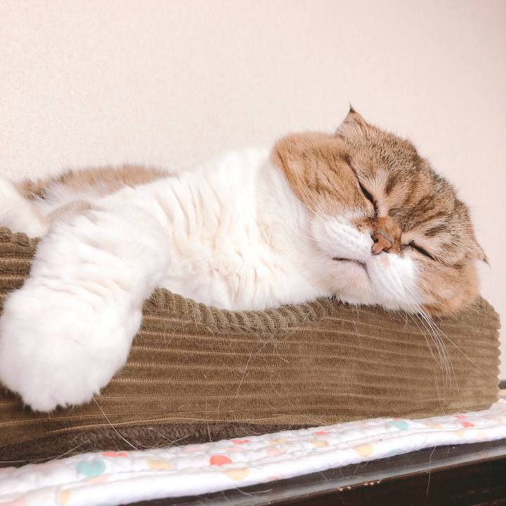 8381befa a980 42b5 8958 055f847c392f 1560856029759