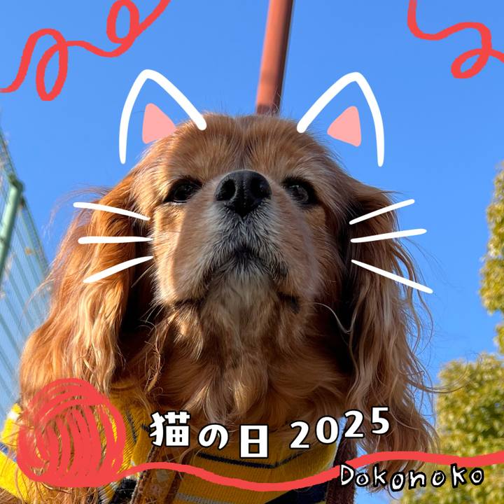 8381da01 f6d3 4061 ba68 fd99a33cfabb 1740144518205