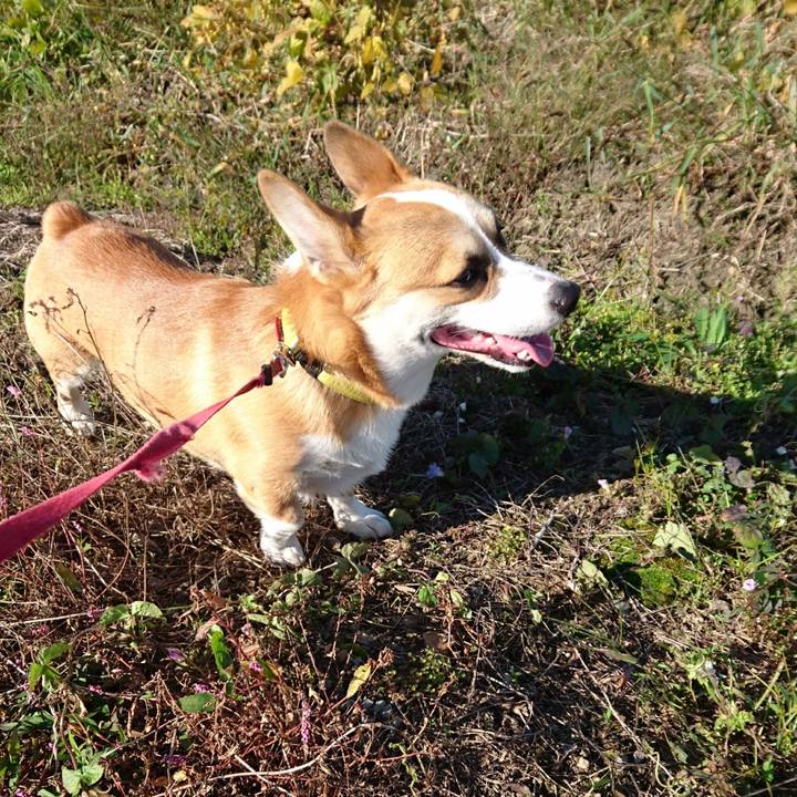 838233ed 687a 469f 84ea a1322d054225 1573335706313