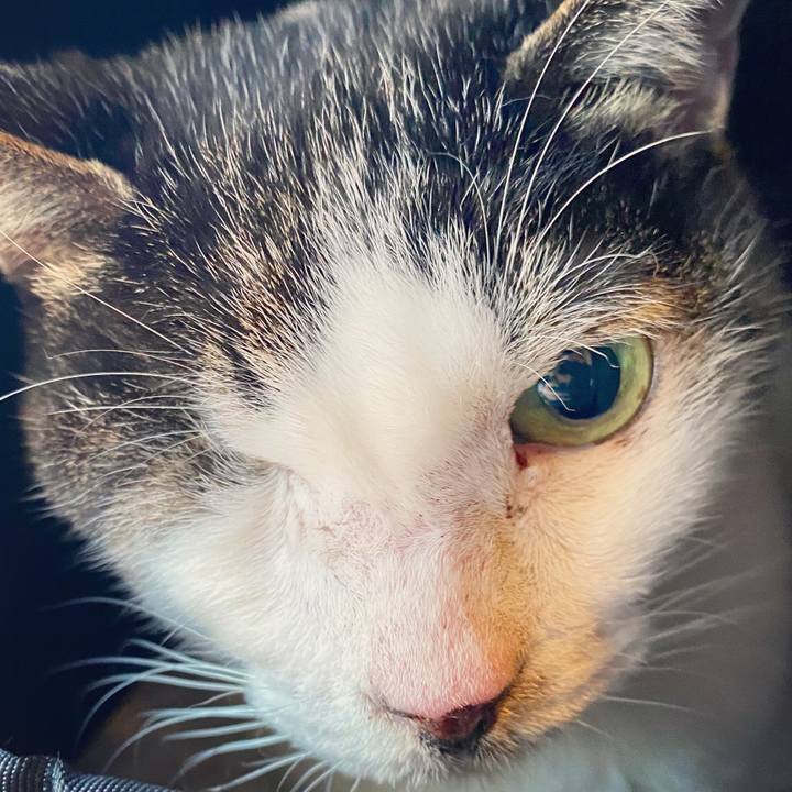 83826ada a14d 44ad 9084 f0239e381ed1 1604748870742