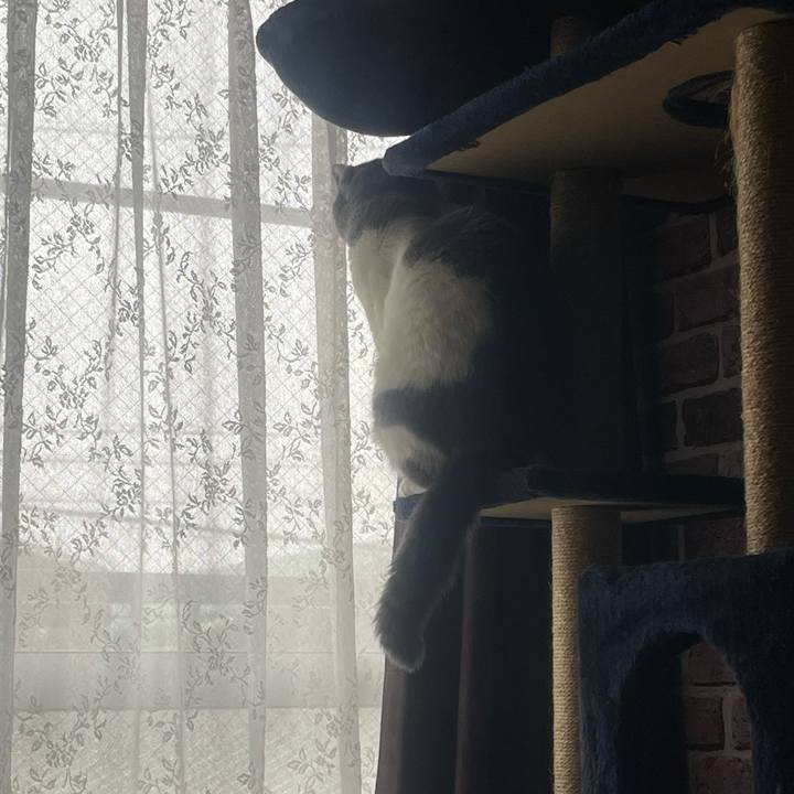 838281dd aaf2 46f6 ad39 c82579dd32d9 1707108101450