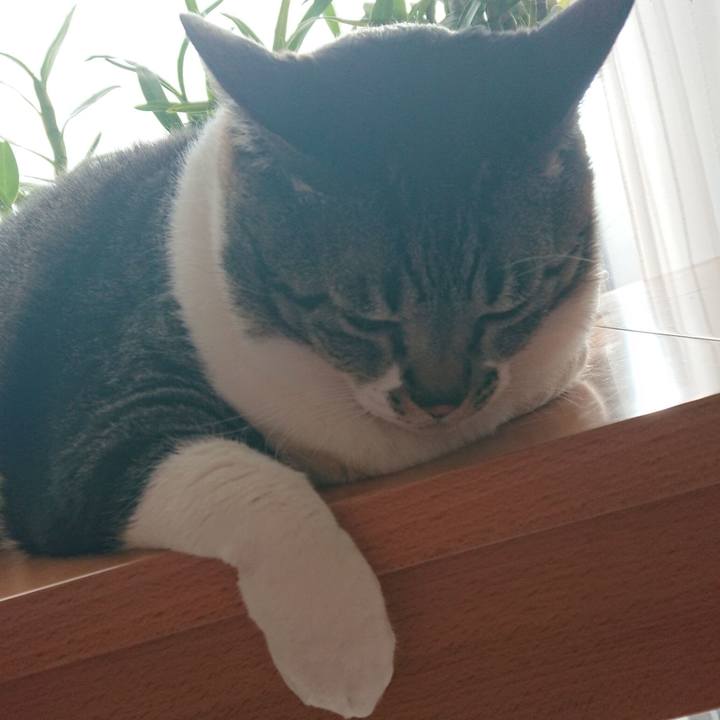 8382a689 d484 4dad 879e ef527b299f07 1581724319191