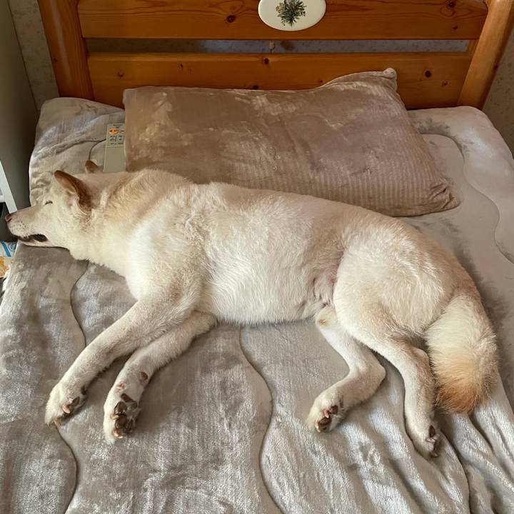 8382b17a 16fe 475e b40b 0cd22f1bc88e 1634963155811