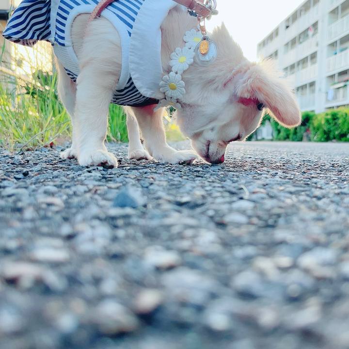 8382c74e 098f 40cc 8aed 71b23f76d4f0 1684933611378