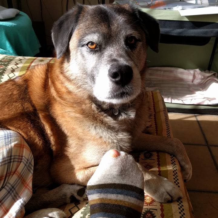 8382ef41 625b 4879 aea5 74a5c523c740 1516756089540