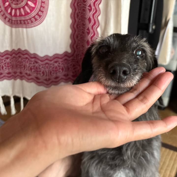 8383243d 852e 4b3c 84a1 8354df54c1be 1753399393803