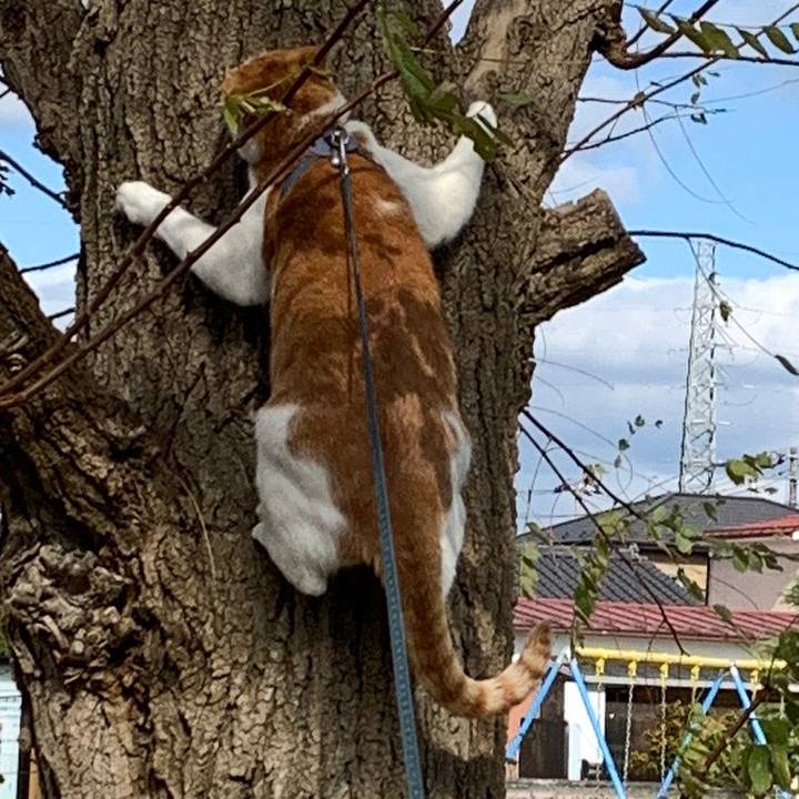 838329a9 4bab 4a95 821d 543ceff729ba 1573353609847