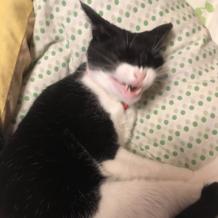 83834086 9572 4628 a895 2849aab03072 1577014483956