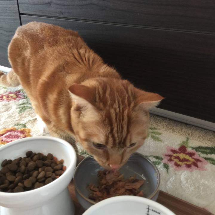 838380f1 663c 4bda bfeb f3d6999ac410 1521849052960