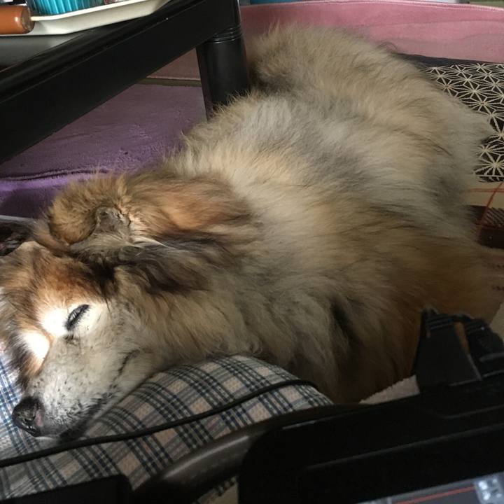 8383948a 5e77 439c 941a bb74c21b98d7 1600035785565