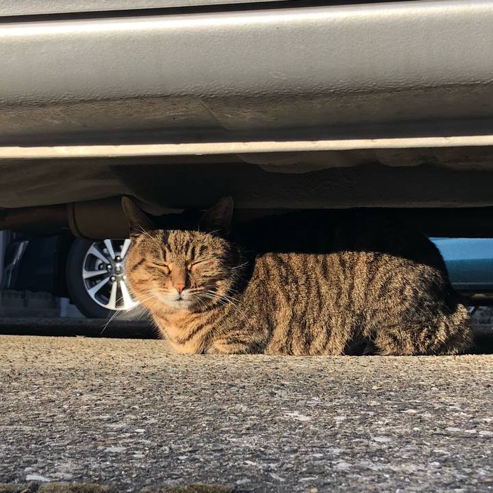 8383a156 bf73 4d0c b3e3 02707b4521f2 1547196542317