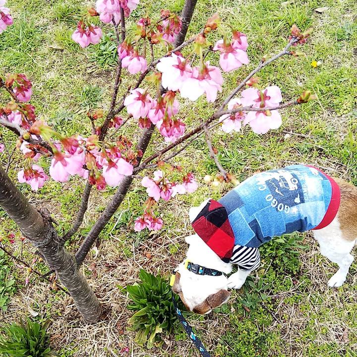 8383c532 55ea 44a6 9d45 57950b2e2ecf 1553320149940