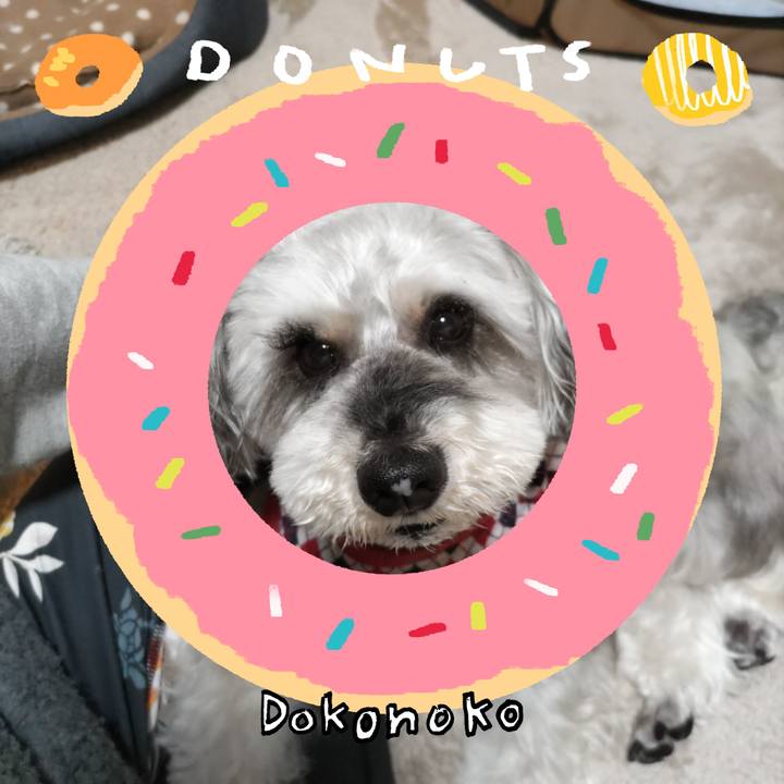 8383d00f 43e7 461e 9044 9fca5a7fed56 1744276446573