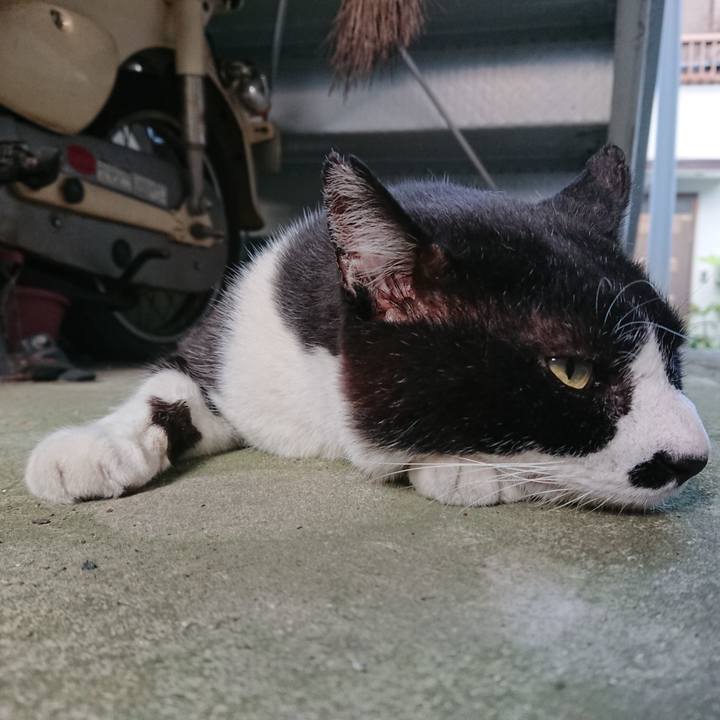 8383d082 21a8 4c0a ad02 bf150eac8674 1528532295487