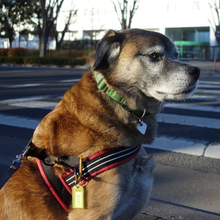 838404c7 5a2c 4266 8058 1e07c2a2d0a6 1655770408318