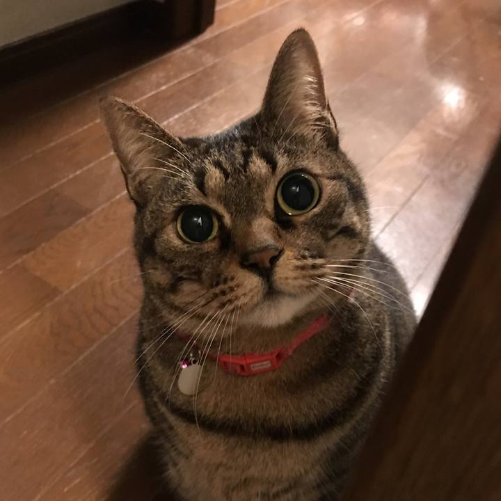 838439da 3e3d 4b03 9aba eb0610f6db3a 1553521649185