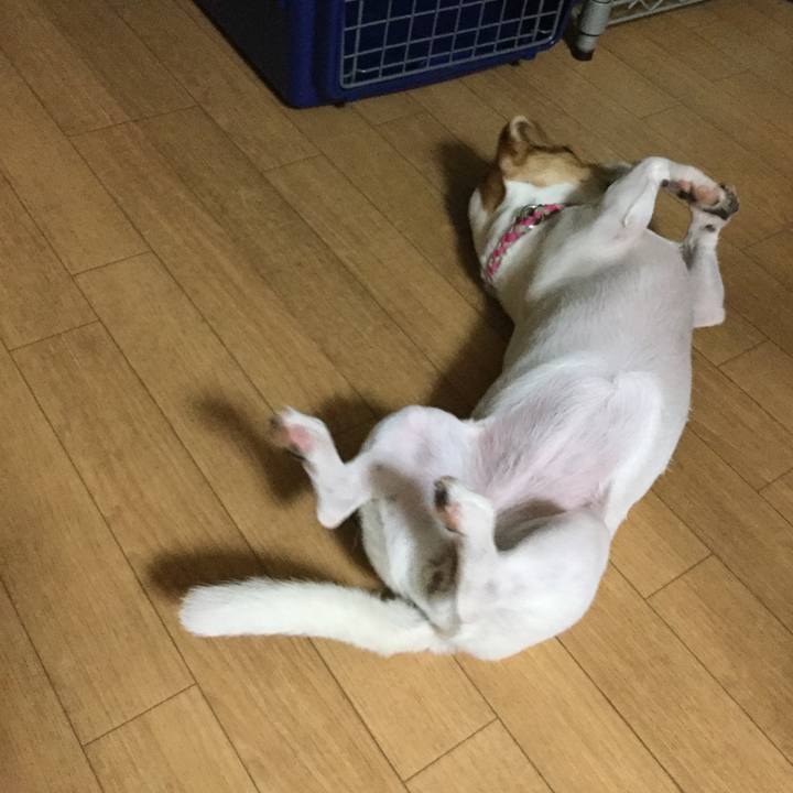 83844a2d 2bbc 4ddc b264 b07057a4508a 1539228286985