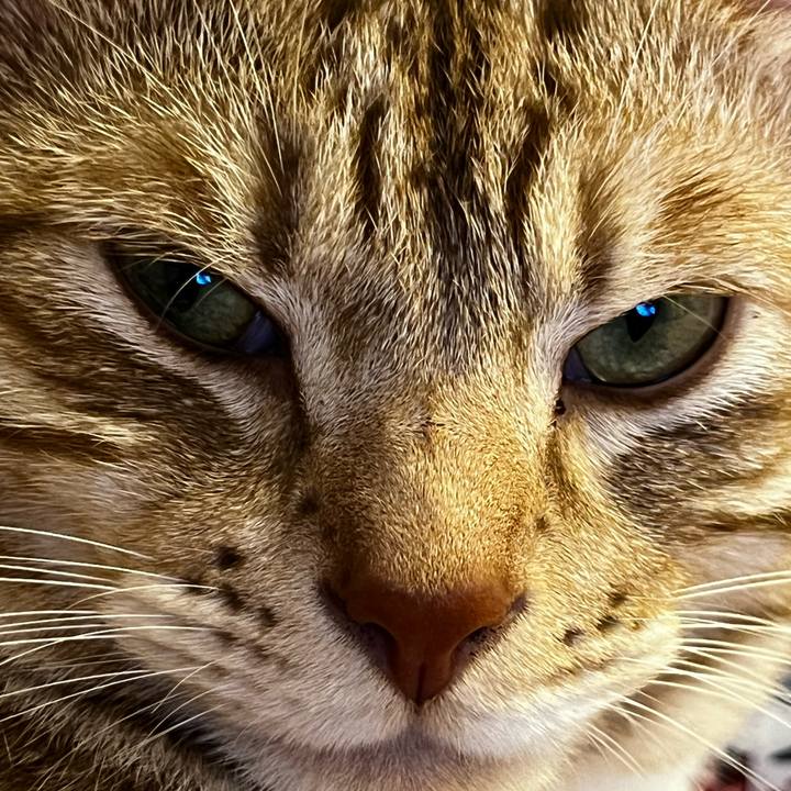 8384cc81 8e39 41c1 843d b7c9c0e697c6 1663933197434