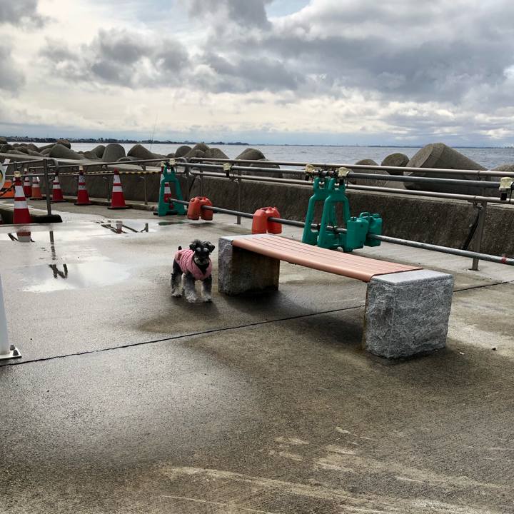 8385176d ad10 4282 98f0 9981390aaa4c 1708605200725