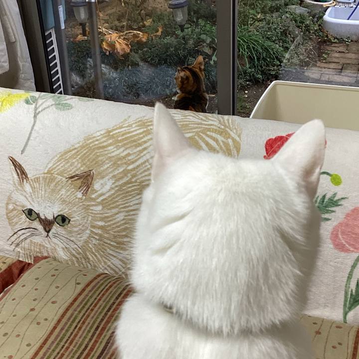 83851dab 8d54 4df3 9963 4821e7060569 1670809081709