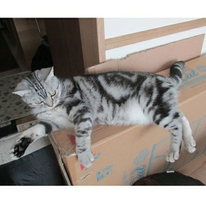 83855e6f 753e 4926 84c7 7d95732555b8 1571023053544