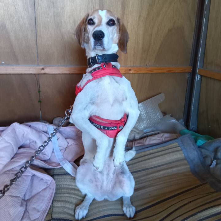 83855e8d 5bd5 4f83 86ca 7a2e55740168 1724808886647