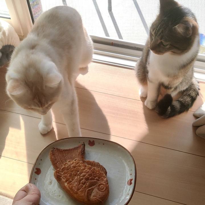 8385a594 cfd6 4379 aa7b 86a73cc40b55 1666743985420